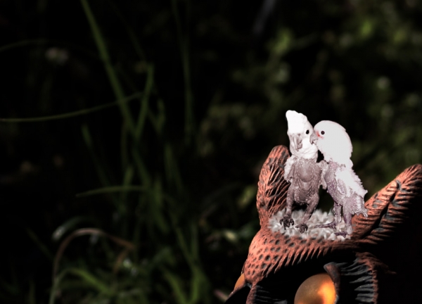 Creation of Featherless Encounter!: Step 7